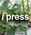 press